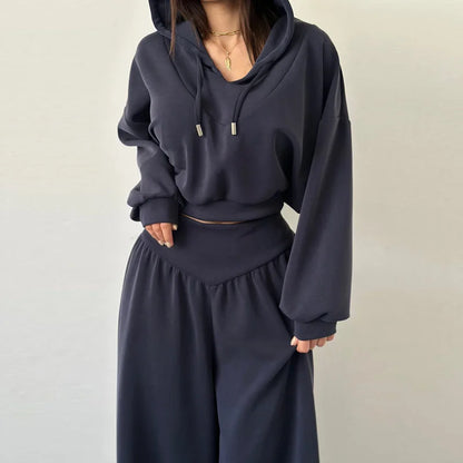 Casual sólido com capuz recortado moletom calça conjunto feminino solto com capuz cintura alta calças de perna larga 2026 primavera senhora chique outfit novo